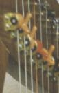 Semitone levers