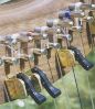Semitone levers
